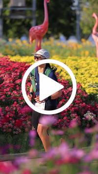 BIB:  <button type="button" onclick="openModal(27588652)" class="btn btn-primary btn-sm float-right" data-toggle="modal" data-target=".modal-high-quality">
                <i class="fa fa-download"></i> Download
                </button>